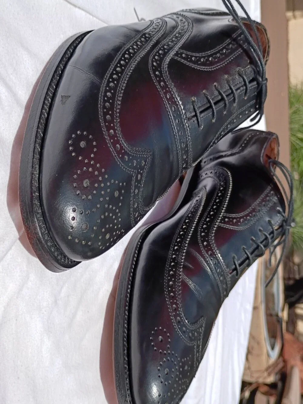 Allen Edmonds Lloyd Brogue Wingtip Oxfords Black 12E